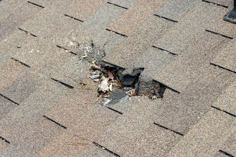 Common Causes Of Asphalt Damage That Require Repair Or Patching